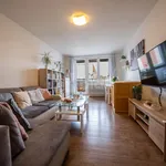 Rent 2 bedroom apartment in Ostrava