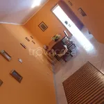 Rent 3 bedroom apartment of 90 m² in Sabaudia