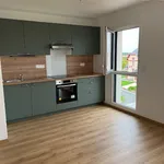 Rent 3 bedroom apartment of 63 m² in CHEVAIGNE