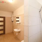 Rent 2 bedroom apartment of 60 m² in Trhový Štěpánov