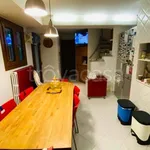 Rent 4 bedroom apartment of 240 m² in Segrate