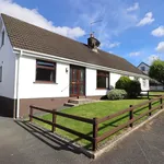 Rent 3 bedroom house in Dromore