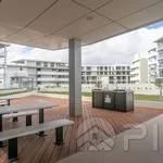 Rent 1 bedroom apartment in Sydney