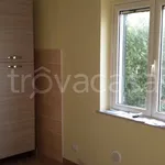 Rent 3 bedroom apartment of 70 m² in Frosinone