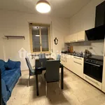 Rent 4 bedroom apartment of 110 m² in Piacenza