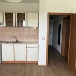 Rent 1 bedroom apartment of 40 m² in Pardubice