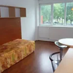 Appartement de 30 m² avec 1 chambre(s) en location à Belfort