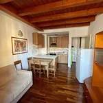 Rent 2 bedroom apartment of 45 m² in Monza