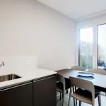 Rent 1 bedroom apartment of 40 m² in Solduno