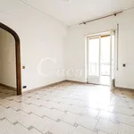 Rent 3 bedroom apartment of 100 m² in Frascati