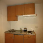 Rent 1 bedroom apartment of 26 m² in Fürth