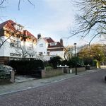 Rent 4 bedroom house of 180 m² in Den Haag
