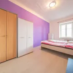 Pronájem bytu 3+1 20m²