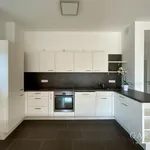 Rent 3 bedroom apartment of 100 m² in Leipzig