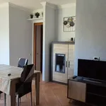 Rent 2 bedroom apartment of 50 m² in Roma