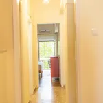 Rent 1 bedroom apartment in Athens