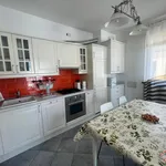 Rent 2 bedroom apartment of 53 m² in Genova