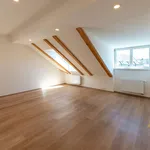 Rent 6 bedroom apartment of 202 m² in Prague