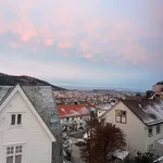 Rent 3 bedroom apartment of 50 m² in Bergen