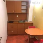 Rent 1 bedroom apartment in Jindřichův Hradec