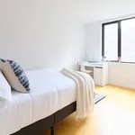 Rent 4 bedroom student apartment in New York