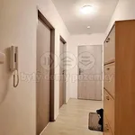 Rent 2 bedroom apartment of 51 m² in Týniště nad Orlicí