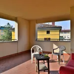 Rent 4 bedroom apartment of 45 m² in Bologna