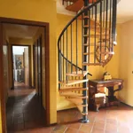 Rent 2 bedroom apartment of 180 m² in Fiano