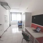 Rent 9 bedroom apartment in Trento