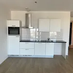 Rent 1 bedroom apartment of 49 m² in Leiden