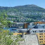 Rent 2 bedroom apartment of 40 m² in Bergen