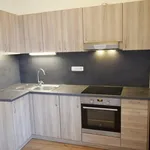 Rent 3 bedroom apartment in Trutnov