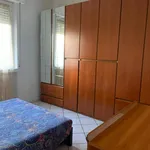 Rent 1 bedroom apartment of 60 m² in Segrate MI