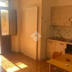 Rent 3 bedroom apartment of 68 m² in Torino