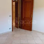 Rent 3 bedroom apartment of 91 m² in L'Aquila