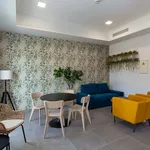 Alquilo 1 dormitorio apartamento de 15 m² en Sevilla