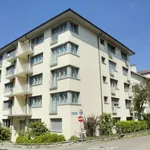 Miete 1 Schlafzimmer wohnung von 30 m² in Zürich