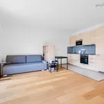 Rent 1 bedroom apartment of 35 m² in Capital City of Prague