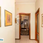 Affitto 6 camera appartamento di 224 m² in Catania