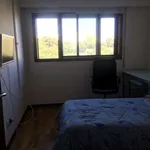 Rent a room of 140 m² in porto