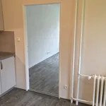 Rent 1 bedroom apartment of 38 m² in Ostrava