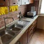 Rent 2 bedroom apartment of 55 m² in Torino