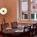 Rent 1 bedroom apartment in Graz