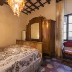 Rent 1 bedroom apartment of 50 m² in Florence