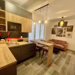 Rent 1 bedroom apartment in Capital City of Prague