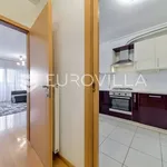 Rent 1 bedroom apartment of 59 m² in Zagreb