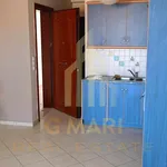 Rent 1 bedroom apartment of 47 m² in Municipal Unit of Akrata