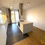 Rent 4 bedroom apartment of 90 m² in Pilsen