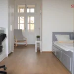 Pronajměte si 1 ložnic/e byt o rozloze 15 m² v Prague