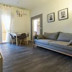 Rent 1 bedroom apartment of 62 m² in bologna